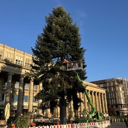 Setting up the Christmas tree 2025