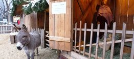Live Nativity Scene