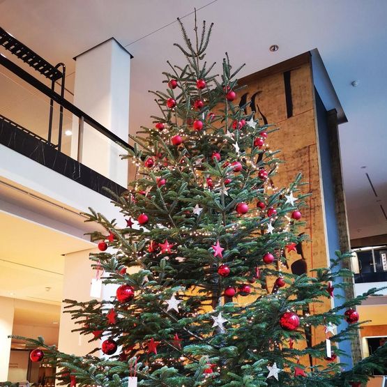 Weihnachtsbaum der Kinderwünsche