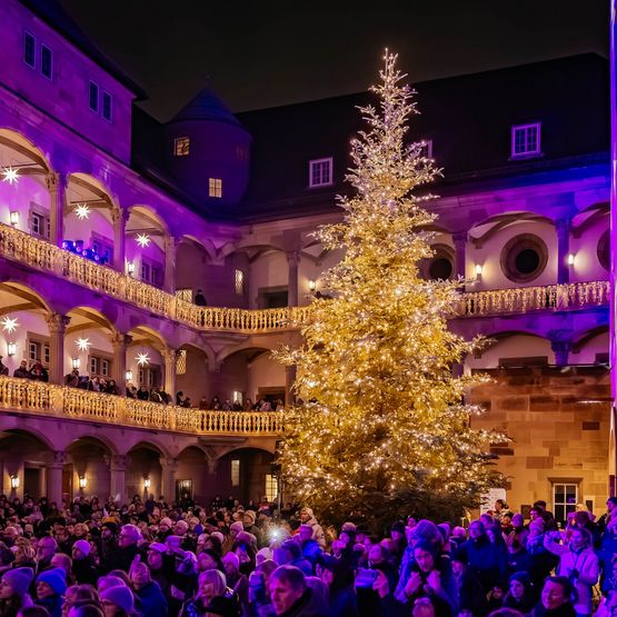 Feierlich erleuchteter Innenhof des Alten Schlosses mit großem Weihnachtsbaum im Zentrum.
